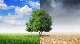 Timeline: Cambio climático