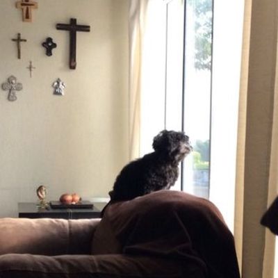 Timeline: Mi línea del tiempo