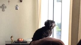 Timeline: Mi línea del tiempo