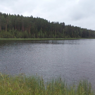 Timeline: Лето. Книги. Открытия.