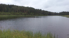 Timeline: Лето. Книги. Открытия.