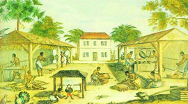 Timeline: The Gradual Divide of Slaves and Indentured Servants (KNM)