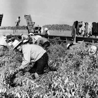 Timeline: How the Working Class Has Changed from 1865-1929 (ER)