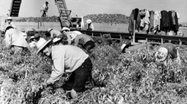 Timeline: How the Working Class Has Changed from 1865-1929 (ER)