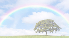 Timeline: Historia de la Pedagogía