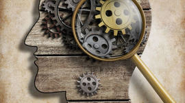 Timeline: Evolución del Sistema Nervioso