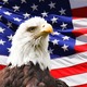 Eagle and flag image