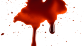 Timeline: Film Industry Development