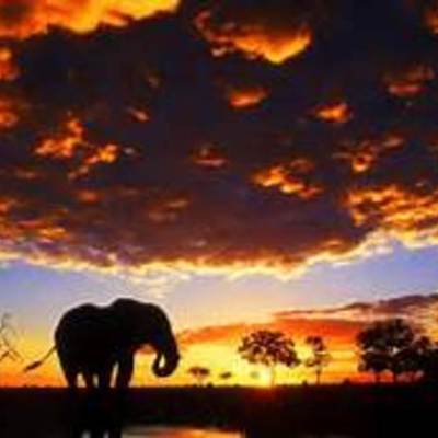 Timeline: Kali Rae's Timeline