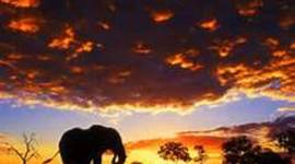 Timeline: Kali Rae's Timeline