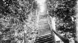 Timeline: CHANGES TO AMERICAN SOCIETY AND CULTURE FROM 1865 TO 1929