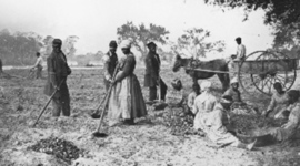 Timeline: Influence of Slavery on Early American Society