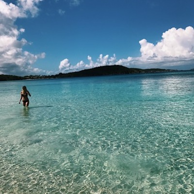 Timeline: Madison Whitley's Timeline