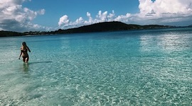 Timeline: Madison Whitley's Timeline