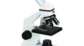 Timeline: 20 inventos que han sido fundamentales en la humanidad