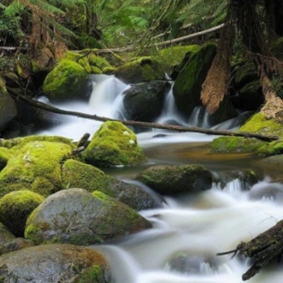 Timeline: American Romanticism