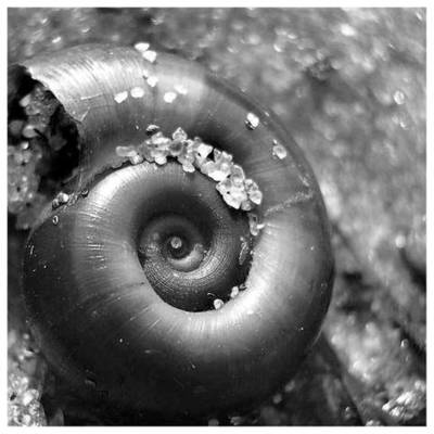 Timeline: Изучение Архимедовой спирали в истории техники