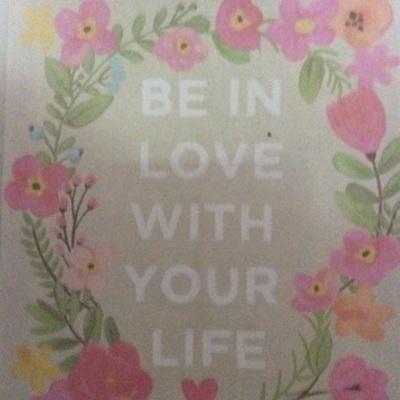 Timeline: La vida de Profe Tobio