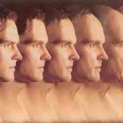 Timeline: ETAPAS DE DESARROLLO A TRAVÉS DEL TIEMPO