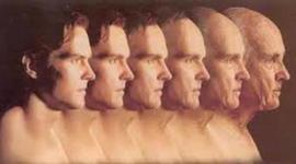 Timeline: ETAPAS DE DESARROLLO A TRAVÉS DEL TIEMPO