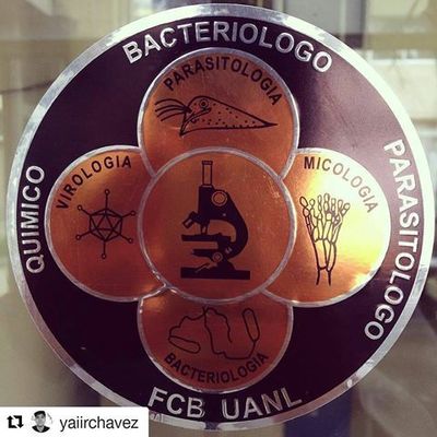 Timeline: Químico Bacteriólogo Parasitólogo a través del tiempo.