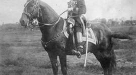 Timeline: Porfirio Diaz