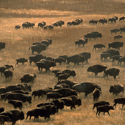 Timeline: Conflict on the Great Plains