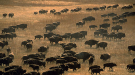 Timeline: Conflict on the Great Plains