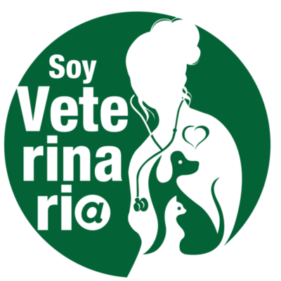 Timeline: Evidence: Timelines