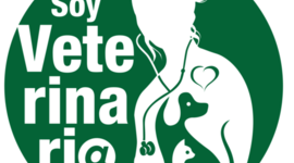 Timeline: Evidence: Timelines