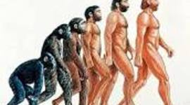 Timeline: Historia de las Ciencias Naturales