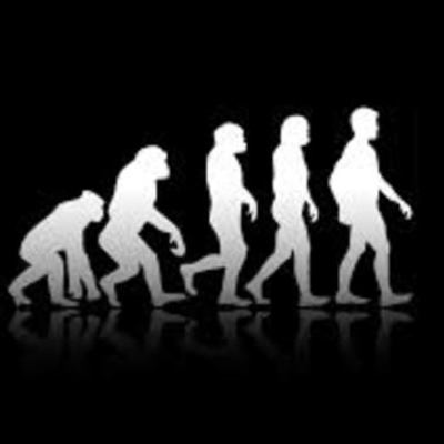 Timeline: Evolucion