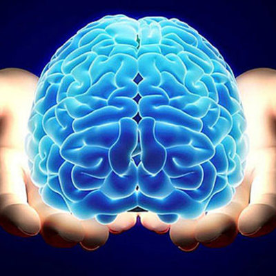 Timeline: EVOLUCIÓN DEL CEREBRO