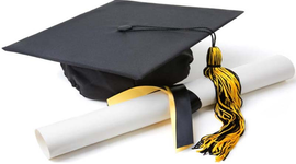 Timeline: Estudios Realizados