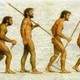 Evolucion del hombre
