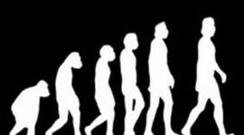 Timeline: Evolucion