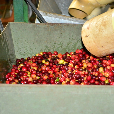 Timeline: lusitania coffee