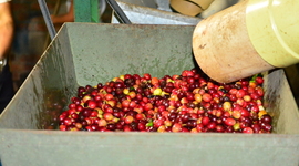 Timeline: lusitania coffee