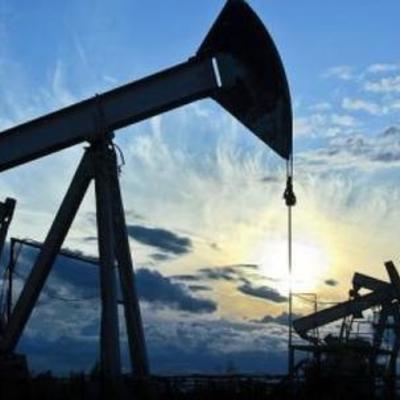 Timeline: Petrocol S.A