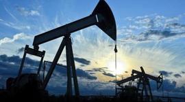 Timeline: Petrocol S.A