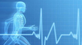 Timeline: Evolución de los Recursos Educativos