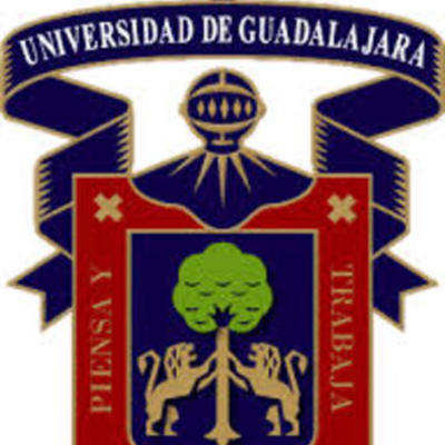 Timeline: RESPONSABILIDADES DEL ASESOR BGAI