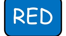 Timeline: Evolución del concepto RED