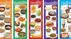 Timeline: Lifetime Personal Health By Alexia Gallegos