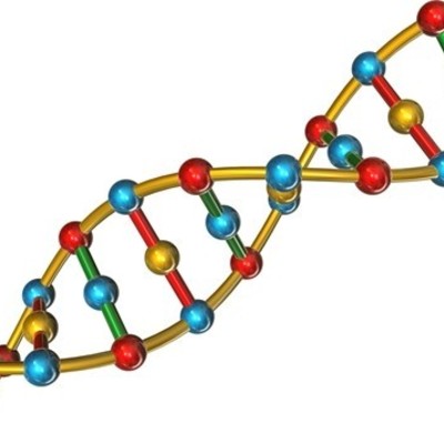 Timeline: LA GENETICA