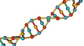 Timeline: LA GENETICA