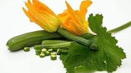 Timeline: Group 3: Ricky, Lachlan, Louis and Blake