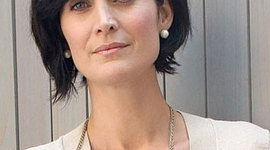 Timeline: Fliegengitter