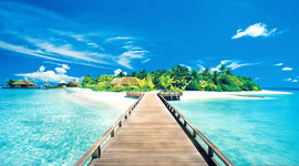 Timeline: Los Paseos Mas Asombrosos De Mi Vida