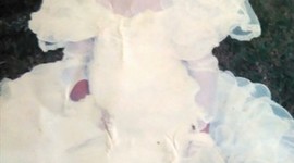 Timeline: 29 de enero del 2012 fue mi primera comunion